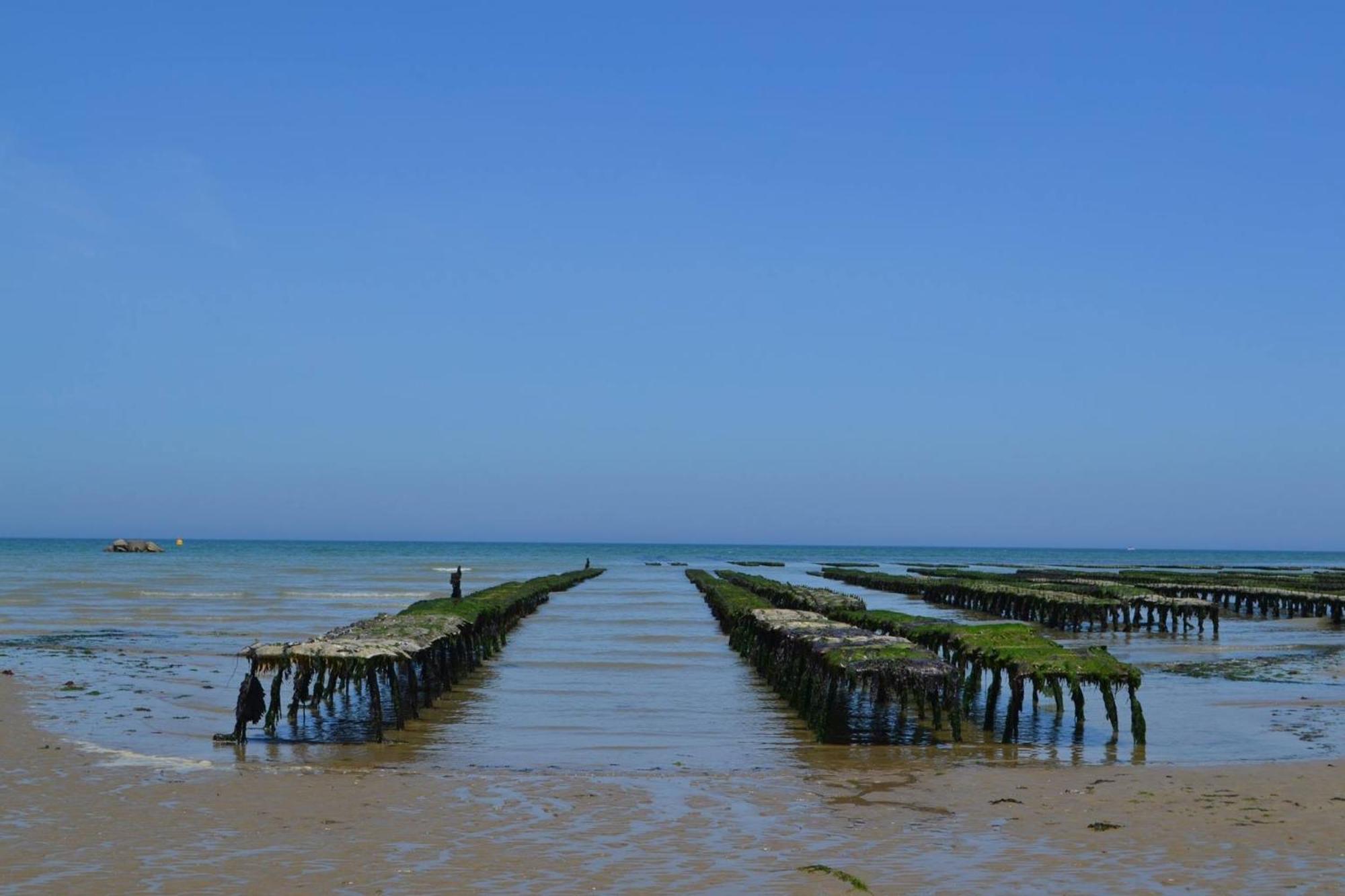 Nid De Pie Grand Duplex Lumineux Cadre Verdoyant Calme A 5 Mn De La Mer Pres Port En Bessin, Bayeux, Omaha Beach, Commes Luaran gambar